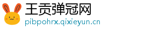王贡弹冠网